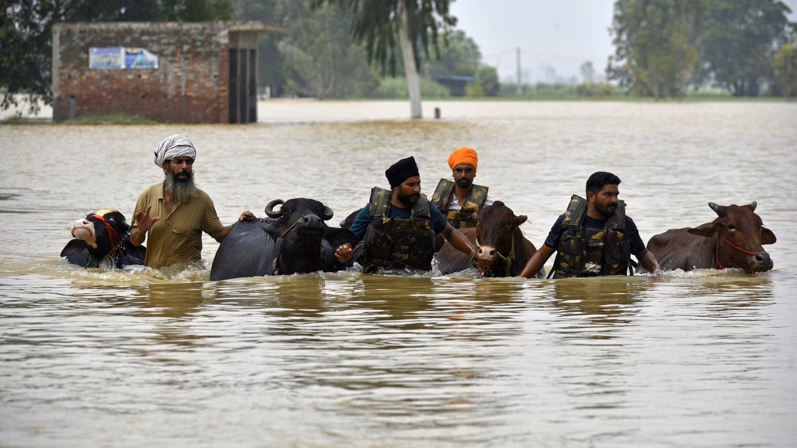 ਪੰਜਾਬ 'ਚ ਹੜ੍ਹਾਂ ਕਾਰਨ ਮ੍ਰਿਤਕਾਂ ਦੀ ਸੰਖਿਆ 46 ਤੱਕ ਪਹੁੰਚੀ